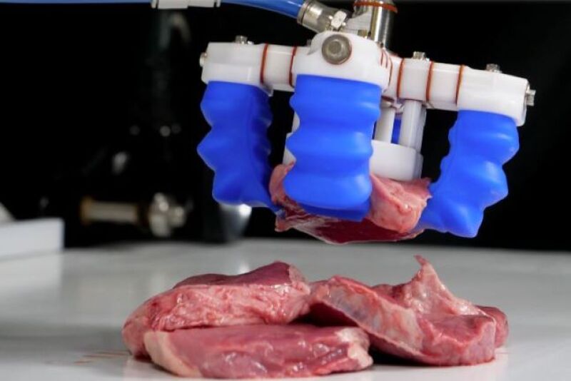 Soft Robotics Inc