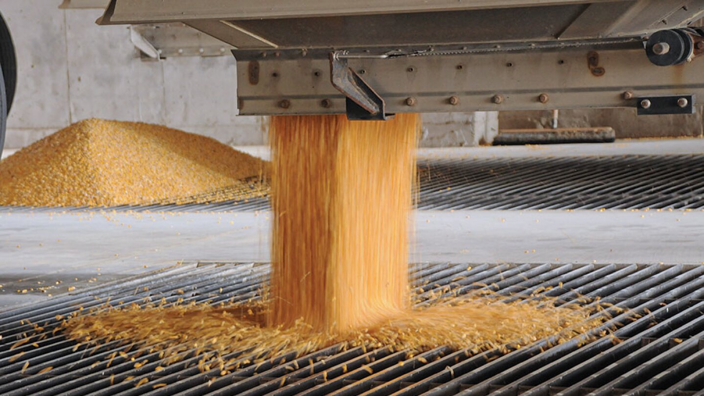 Don’t Leave the Feed Mill Out of Your Farm’s Biosecurity Plan