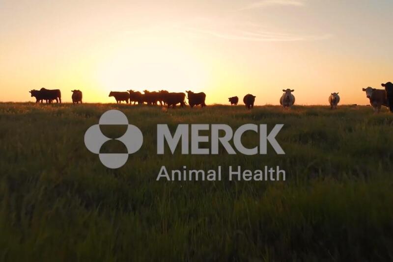 Merck Animal Health