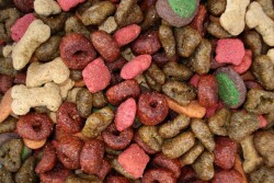 Dry Dog Food