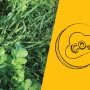 Flip-Your-Soil-840x600.jpg