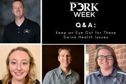 Swine Vets 2022 PORK Week