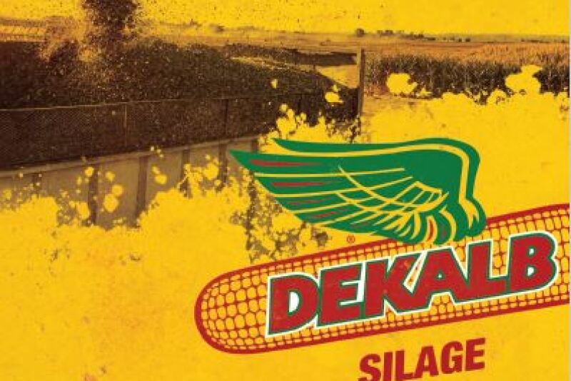 Dekalb Silage Hero.JPG