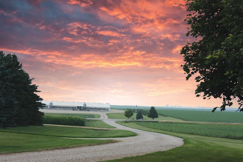 Pig Farm at Sunset