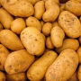 Washington potatoes have enjoyed a strong price year.
