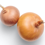 two onions on white background