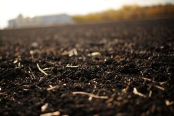 RedRiverValleySoil