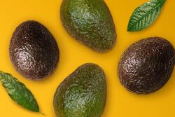 Hass Avocado Board winter holiday sales