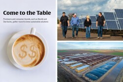 U.S. Dairy Sustainability