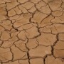 Drought
