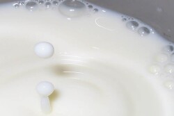 milk