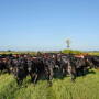 Blackbeard's Ranch