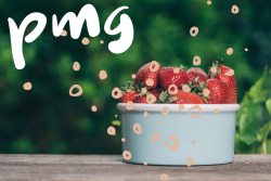 PMG_top20-125_header_web.png