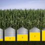 Percent of Corn Priced