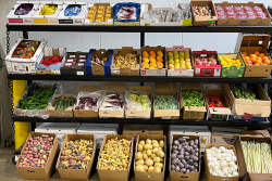 A produce display of four racks with various items lining each one, plus boxes of mostly potatoes on the ground in front.