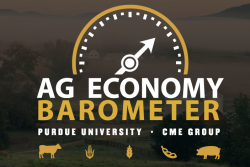 Although just a small change month to month, researchers say producers expressed less confidence than a month earlier about the present economic conditions with the index of current conditions dropping 12 points. 