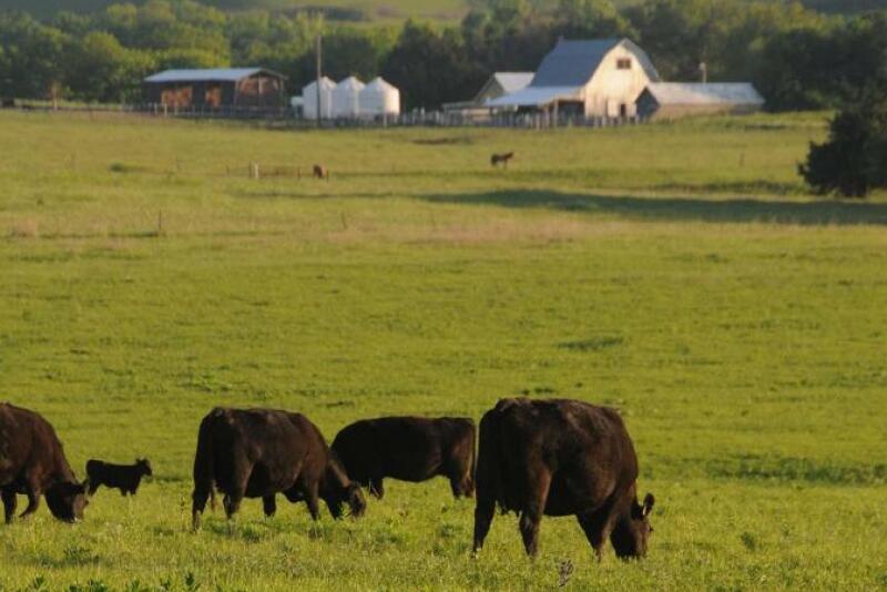 The author is an "advocate" for family farms.