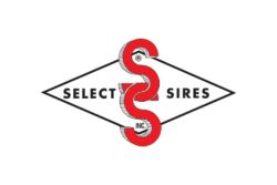 Select Sires