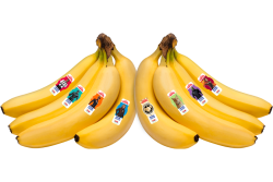 17367231-FAA9-467B-A45C533719AA3F86.png