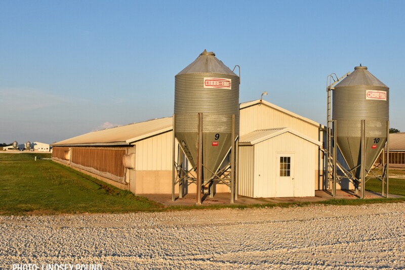 hog barn - Lindsey Pound