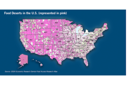 food desert web