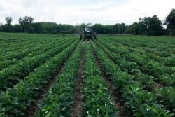 FBN says the company was forced to vertically integrate glyphosate production, a decision that was not only time-consuming, but costly. And in 2022, that investment is paying off. 