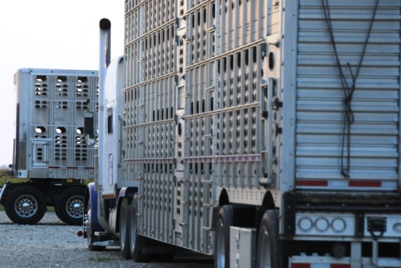 Animal activists look for ways to disrupt the livestock industry. However, in Missouri, interfering with the shipping of livestock is now considered a felony offense, with a fine up to $10,000 and prison time.