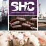 SHIC Collage
