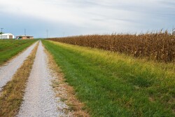 farmstead and road