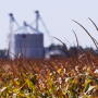 POOR HARVEST: Grain bins are seen at the Gibson family property in Morocco, Indiana. Like many 'go-go farmers,' the Gibsons ran into trouble by taking on debt in the recent agricultural boom.