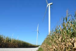 Wind_Turbine_Corn_Field.JPG
