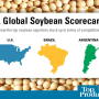 See how the top soybean exporters stack up in terms of competitiveness.