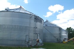Manage grain in bins to avoid spoilage, quality deductions.