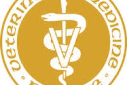 From the fiscal years from 2009-2010 to 2017-2018,Purdue's veterinary hospital caseloads increased by 50%.