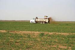 Manure Spreader_Catherine Merlo