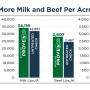 More-Milk-800x640.png