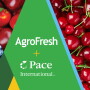 AgroFresh and Pace.jpg