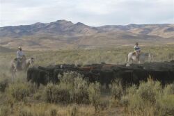 Owyhee County, Idaho