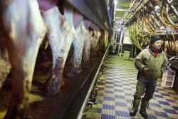 Bernard Moravits inspects cows being milked at his farm in Bloomington, Wis. Moravits does have several choice words for President Trump's move to build "his stupid wall" and deport Hispanic laborers. He thinks it's demeaning to hard-working people.