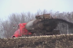 Manure