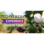 United Fresh reFresh.png
