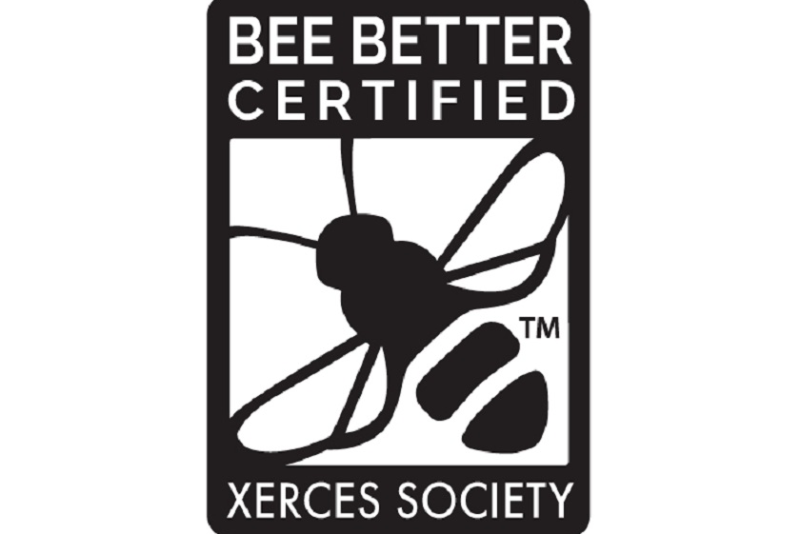 bee better