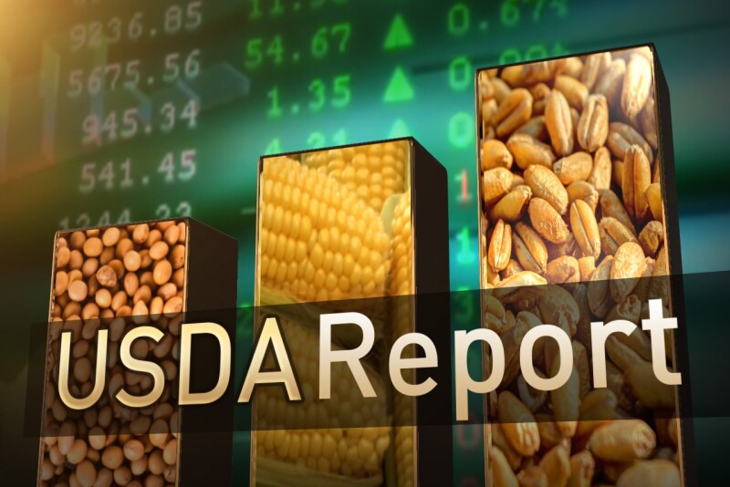 Analysts say the trade expected a bullish USDA December report. With minimal changes, traders sold the market and commodity prices dropped. 