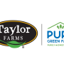 Taylor Pure Green