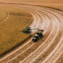 BASF Plant Health Goes Beyond Disease Control