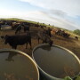BT_Cattle_Water_Tank