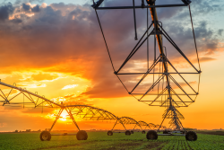 irrigation system at sunset