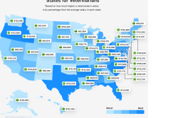 veterinary pay