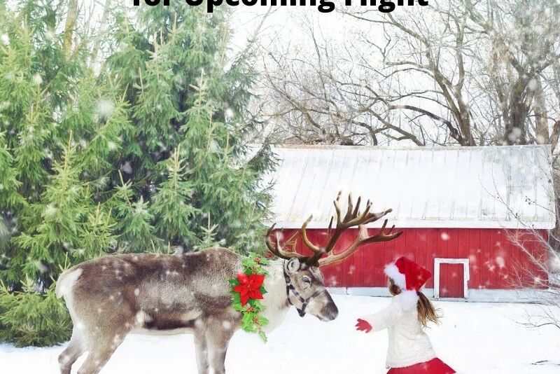 Reindeer must undergo routine vet checks before flight.