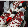 Employees sort California cherries in this file photo. This season, growers and packers are implementing measures to protect employees in the orchards and packinghouses from the coronavirus.